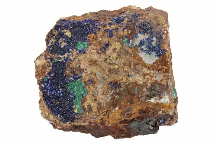 Azurite and Malachite Association on Matrix - Morocco #217799